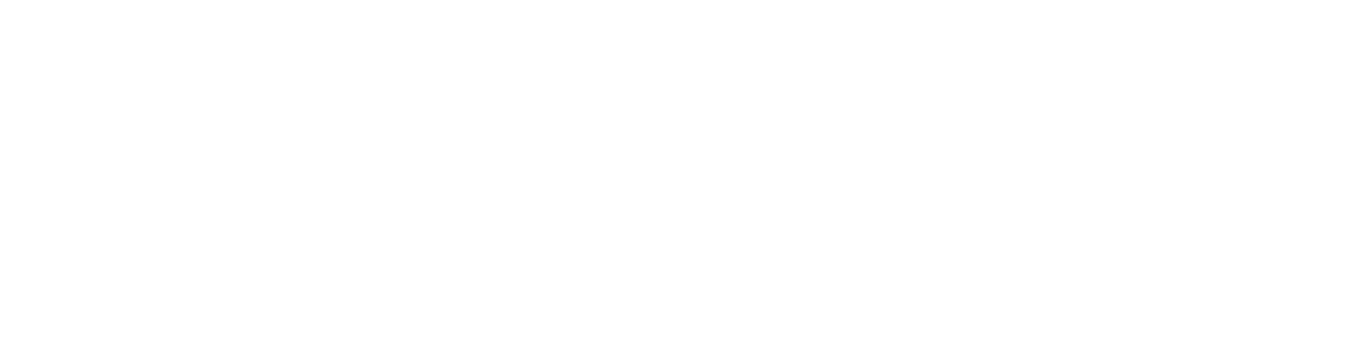 MiniSapien